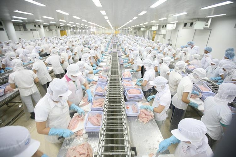 Chứng nhận HACCP cho cơ sở sơ chế, đóng gói thủy hải sản tại Hồ Chí Minh và trên toàn quốc