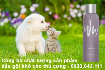 Công bố sản phẩm dầu gội khô cho thú cưng tại Hà Nội