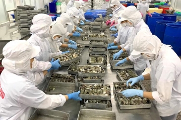 Chứng nhận an toàn thực phẩm cho các cơ sở sơ chế, đóng gói thủy hải sản tại Hồ Chí Minh