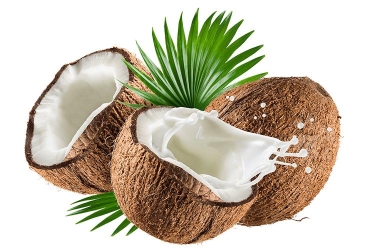 Thủ tục tự công bố hương dừa (Coconut flavour) nhập khẩu tại Hồ Chí Minh